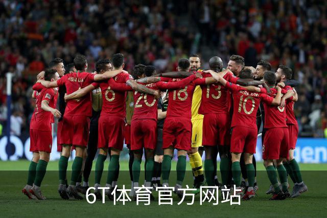 6T体育官方网站公司简介图片
